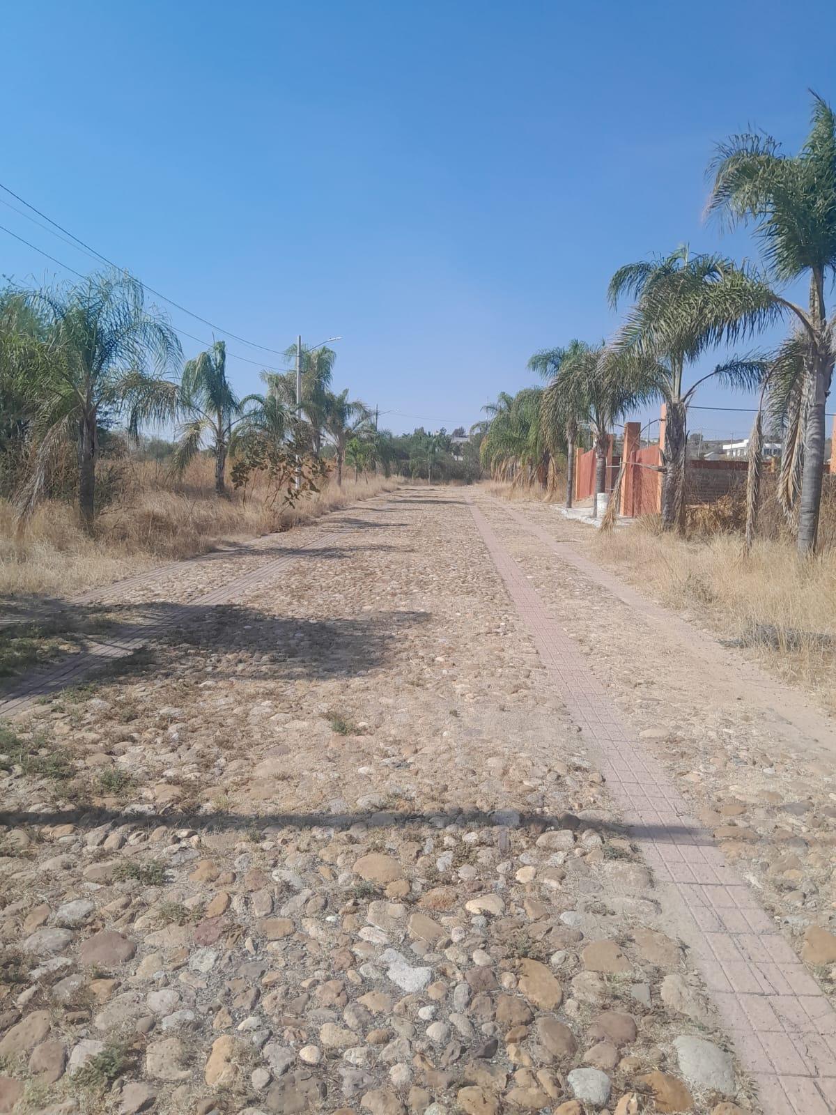 Imagen 7