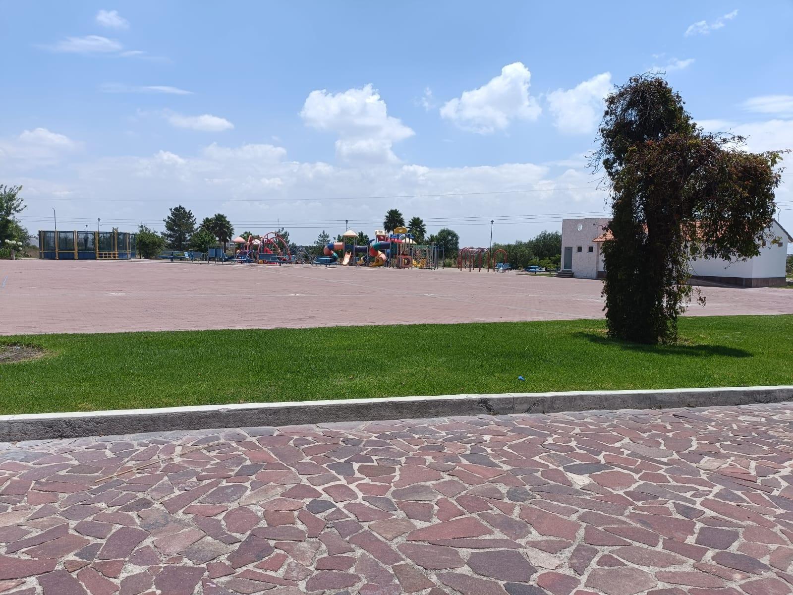 Imagen 5